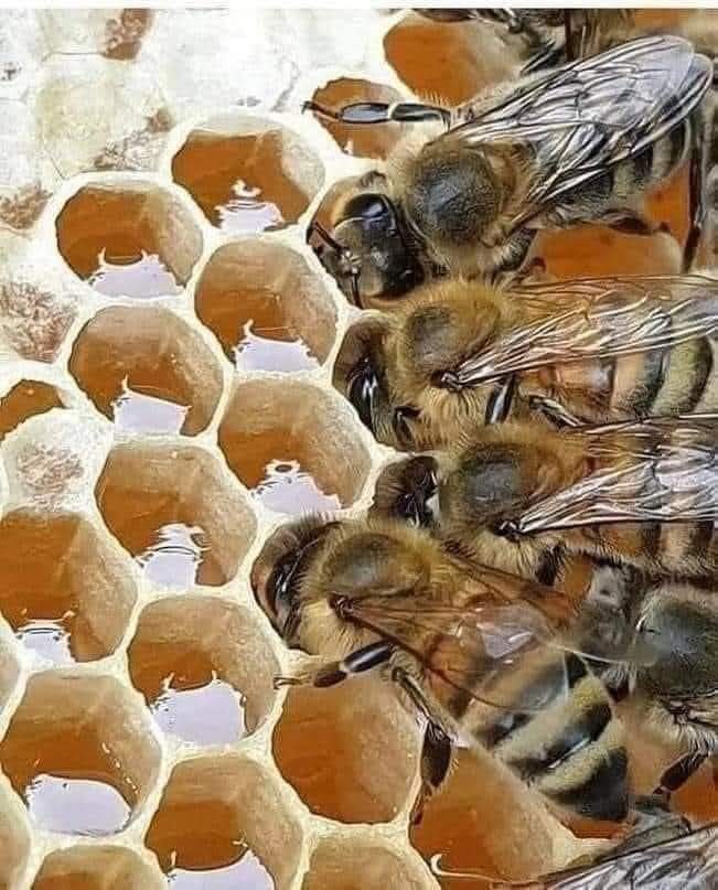 Terapie w Przestrzeni Serca